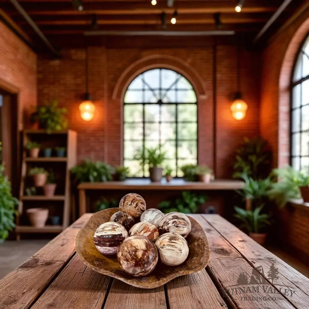 Reserve Petrified Wood Spheres 2’’ - 2.4’’ Sphere