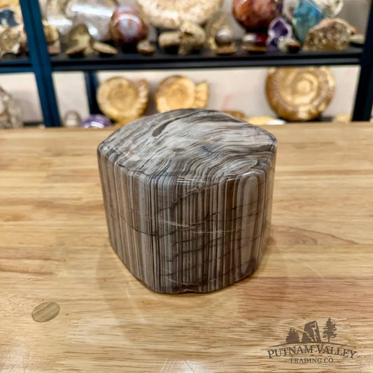 Reserve Petrified Wood Table Accent Sculpture