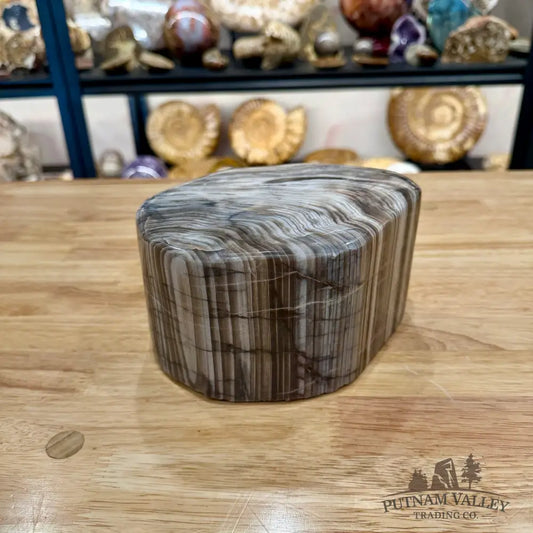 Reserve Petrified Wood Table Accent Sculpture