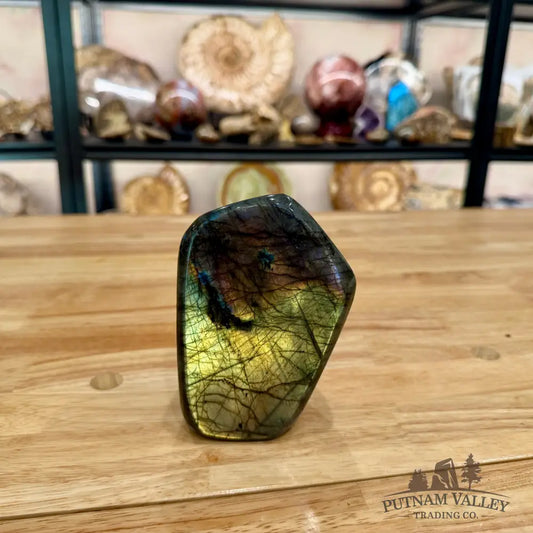 Reserve Labradorite Table Accent 4.95’’ - Sculpture