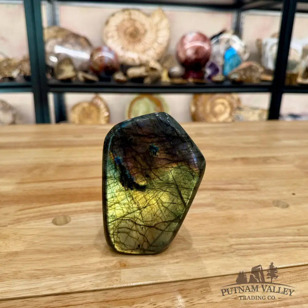 Reserve Labradorite Table Accent 4.95’’ - Sculpture
