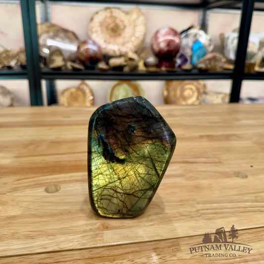 Reserve Labradorite Table Accent 4.95’’ - Sculpture