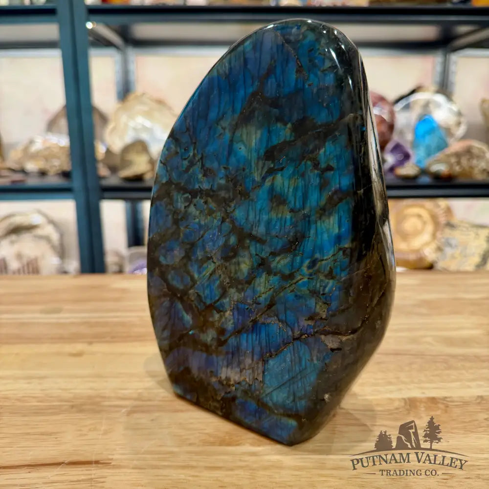 Reserve Rainbow Labradorite Table Accent 8.5’’ - Sculpture