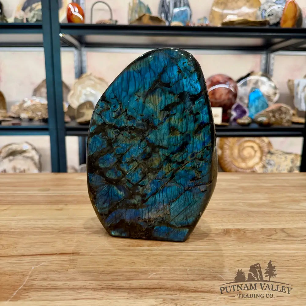Reserve Rainbow Labradorite Table Accent 8.5’’ - Sculpture