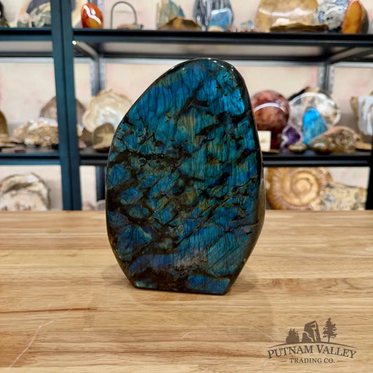 Reserve Rainbow Labradorite Table Accent 8.5’’ - Sculpture