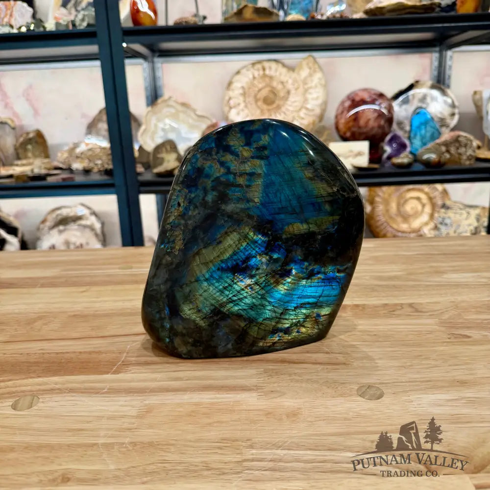 Reserve Rainbow Labradorite Table Accent 9.5’’ - Sculpture