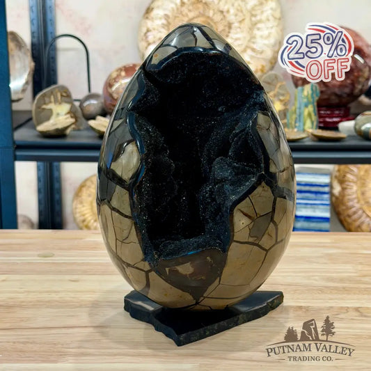 Septarian Geode Egg 10’’ + Stand | Black Druzy Crystal Cave - Egg