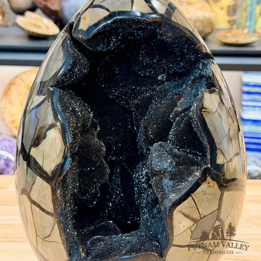 Septarian Geode Egg 10’’ + Stand | Black Druzy Crystal Cave - Egg