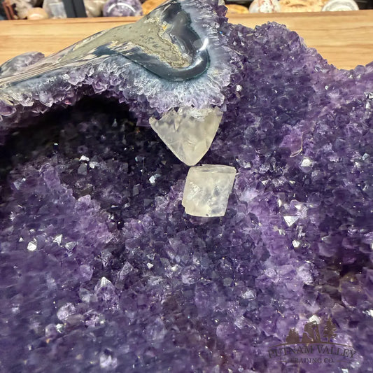 Reserve Amethyst Statement Piece 11.25’’ - Accent