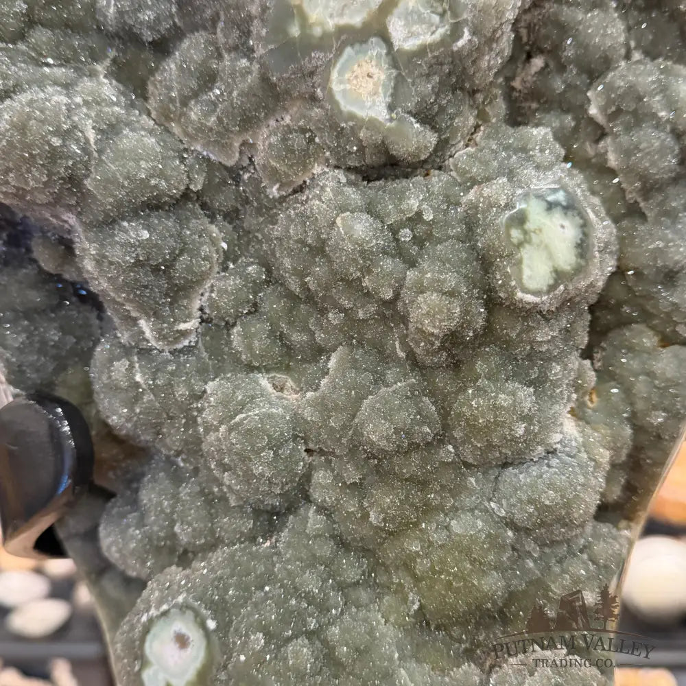 Reserve Uruguayan Green Botryoidal Sugar Druzy Agate + Stand 22.5’’ - Accent