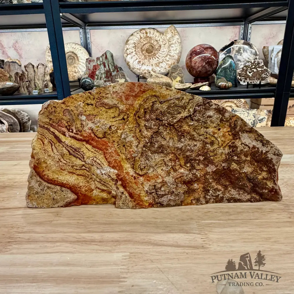 Reserve Utah Rhyolite Table Accent 12.3’’ - Accent