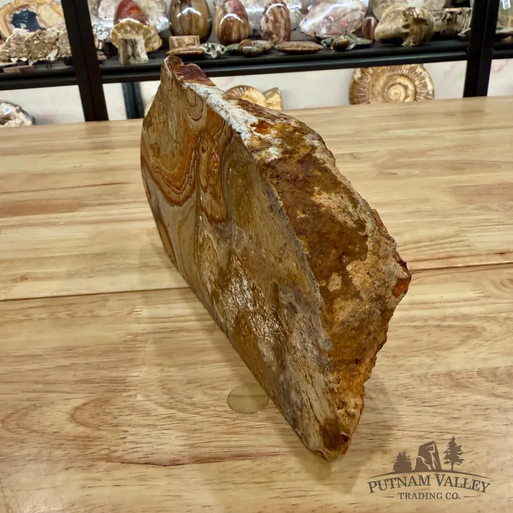 Reserve Utah Rhyolite Table Accent Accent