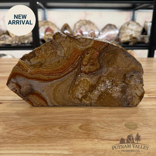 Reserve Utah Rhyolite Table Accent Accent