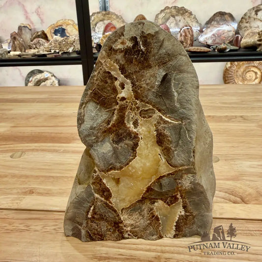 Reserve Utah Septarian Table Accent Accent