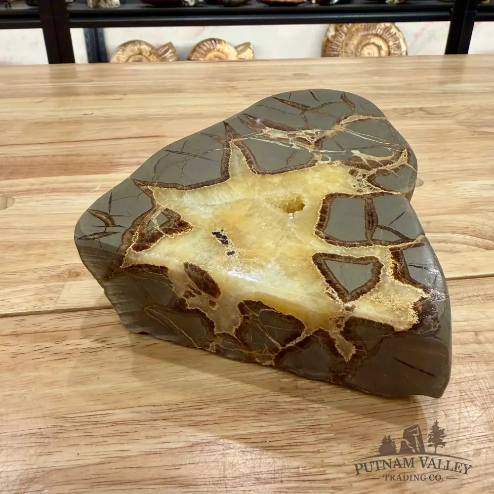 Reserve Utah Septarian Table Accent Accent