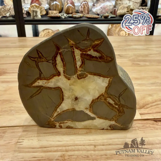 Reserve Utah Septarian Table Accent Accent