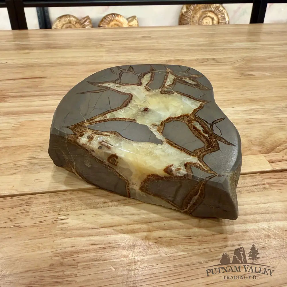 Reserve Utah Septarian Table Accent Accent