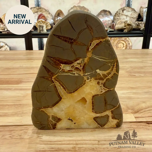 Reserve Utah Septarian Table Accent Accent