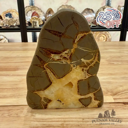 Reserve Utah Septarian Table Accent Accent