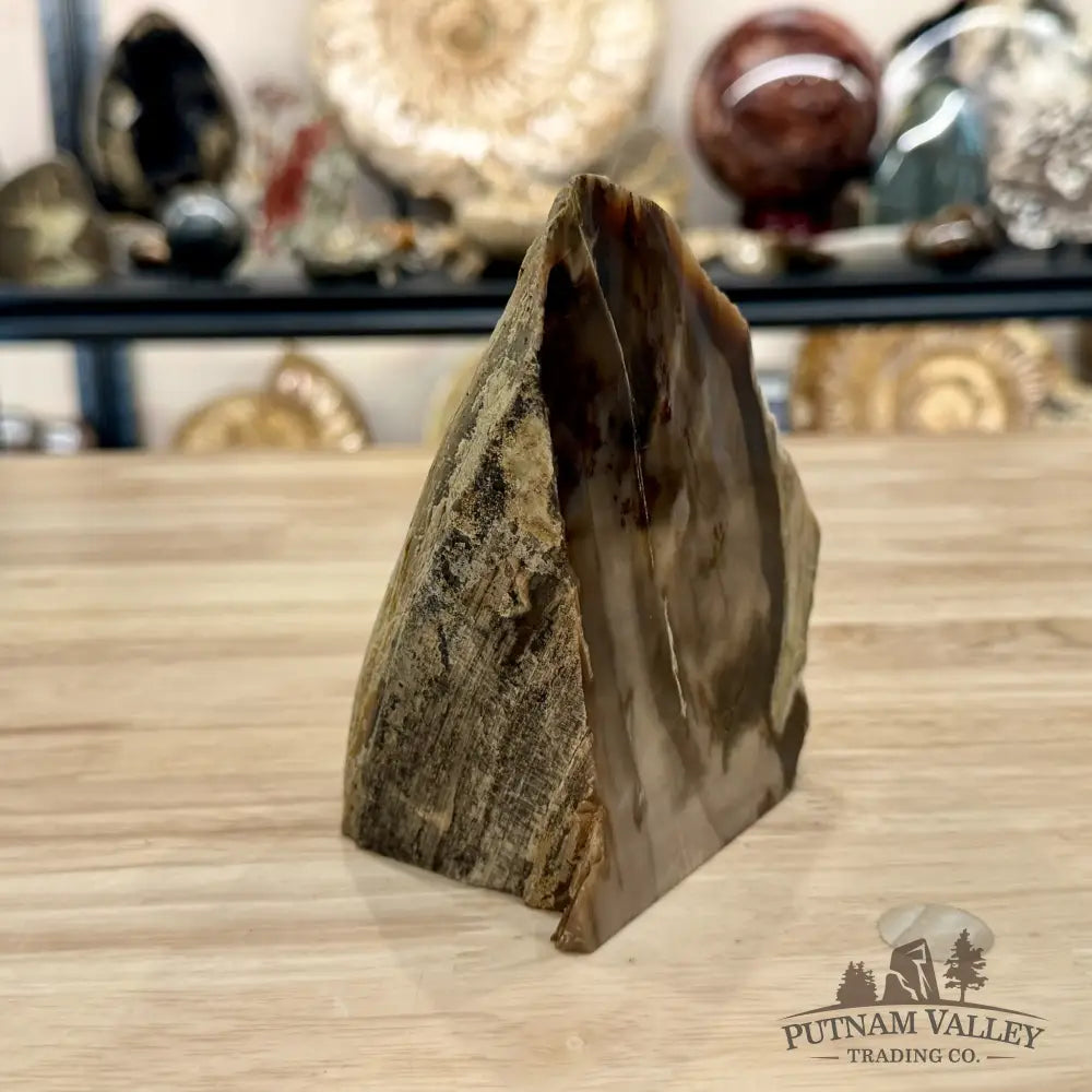 Reserve Washington Petrified Wood Table Accent 5.1’’ - Sculpture