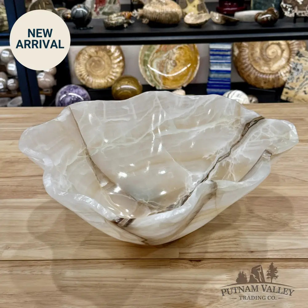 Reserve White Mexican Onyx Bowl 14.5’’ - Bowl