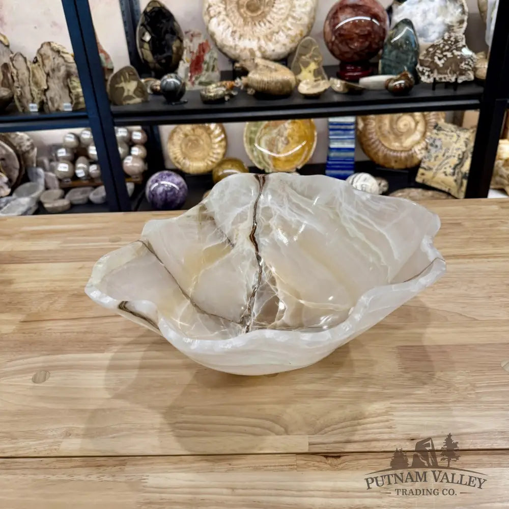 Reserve White Mexican Onyx Bowl 14.5’’ - Bowl