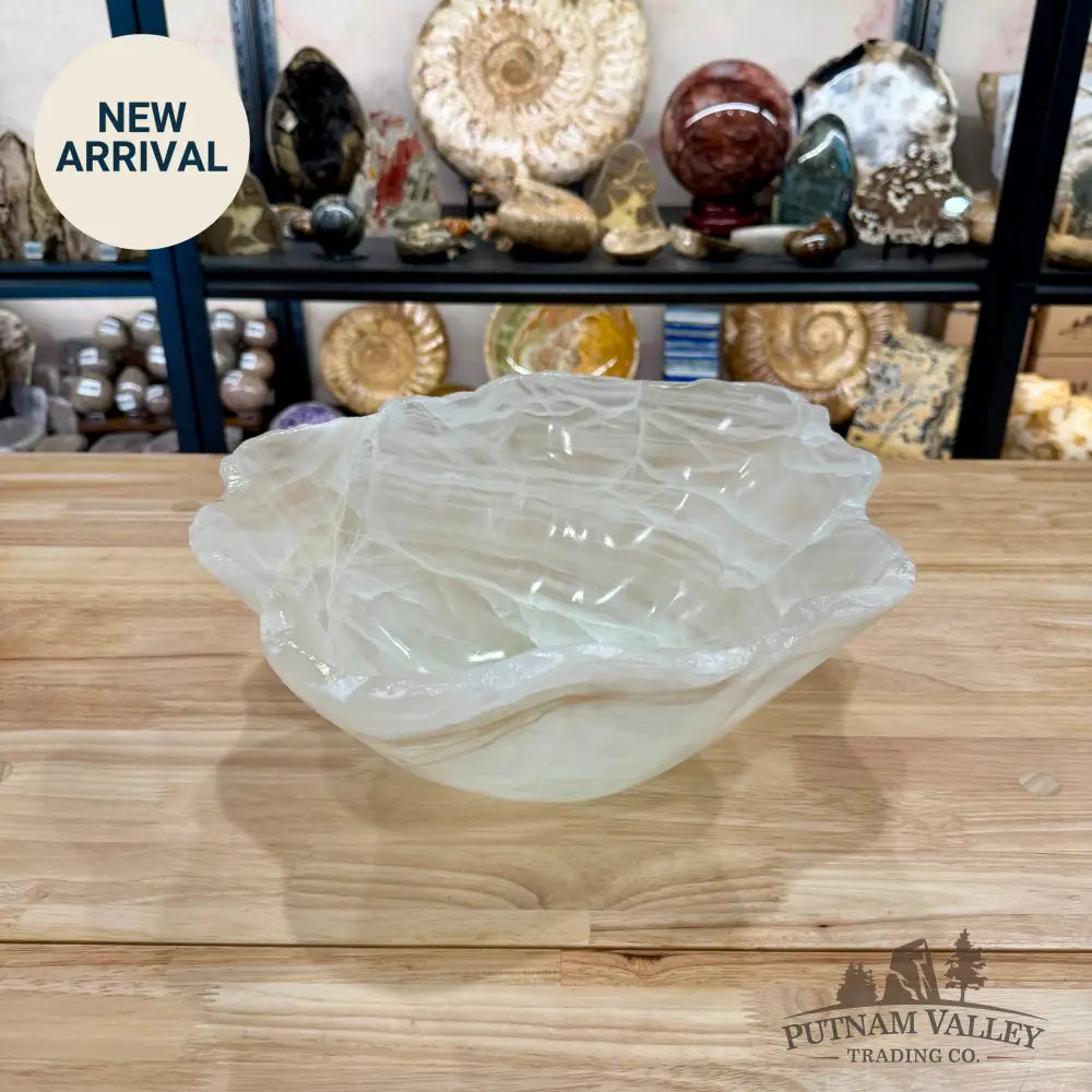 Reserve White Mexican Onyx Bowl 15’’ - Bowl