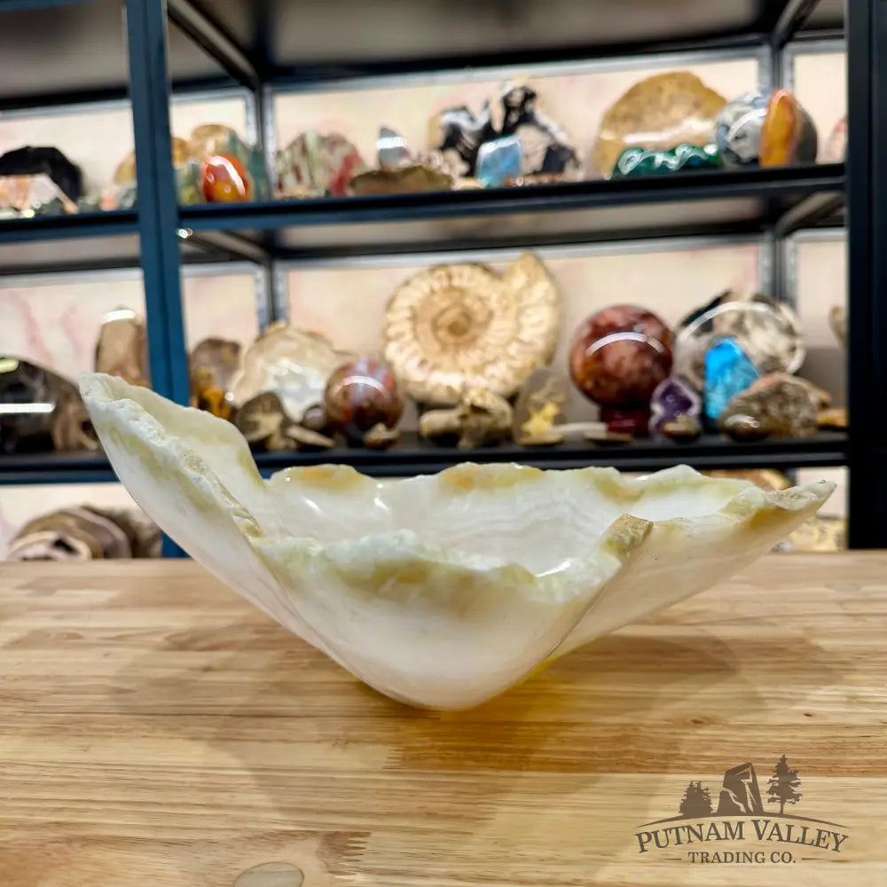 White Mexican Onyx Rustic Bowl 12.75’’ - Bowl