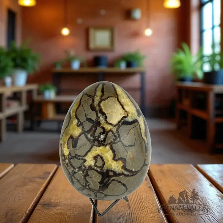 Septarian Egg Egg