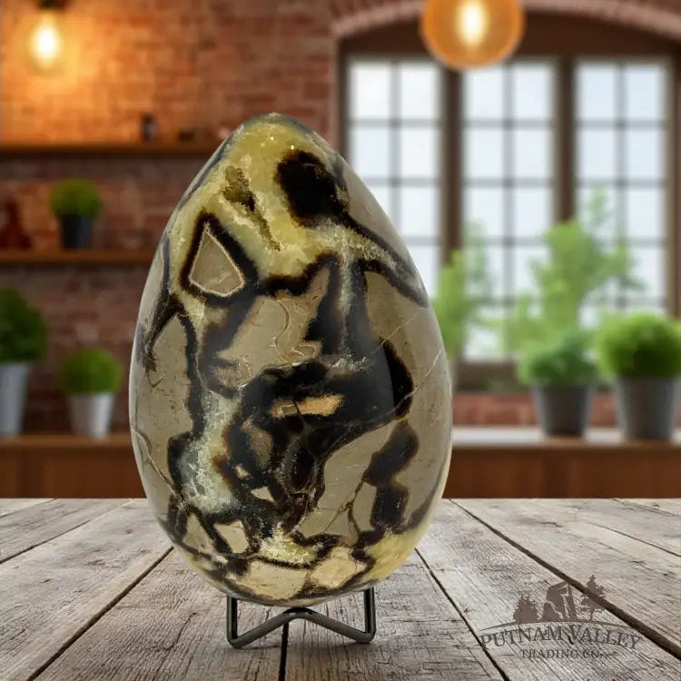 Septarian Egg Egg