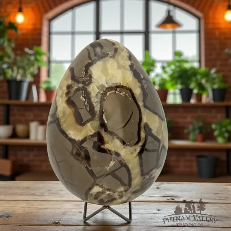 Septarian Egg Egg