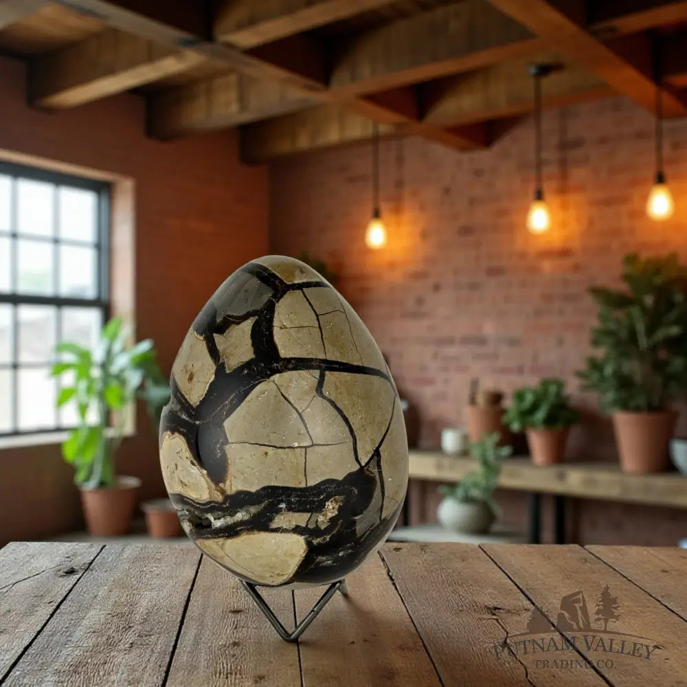 Septarian Egg Geode Egg
