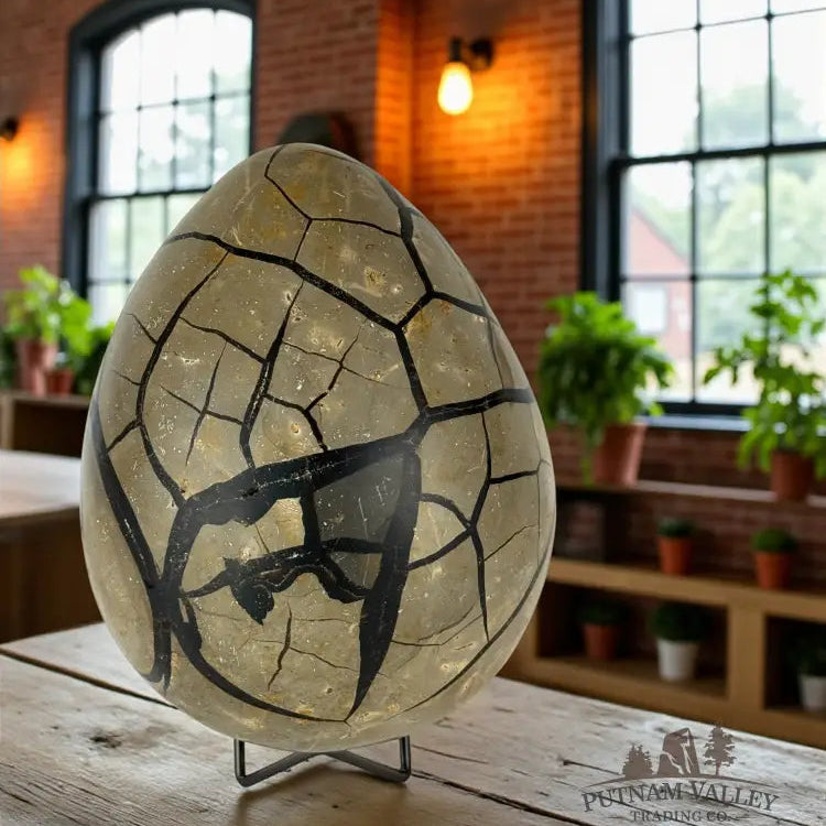 Septarian Egg Geode Egg