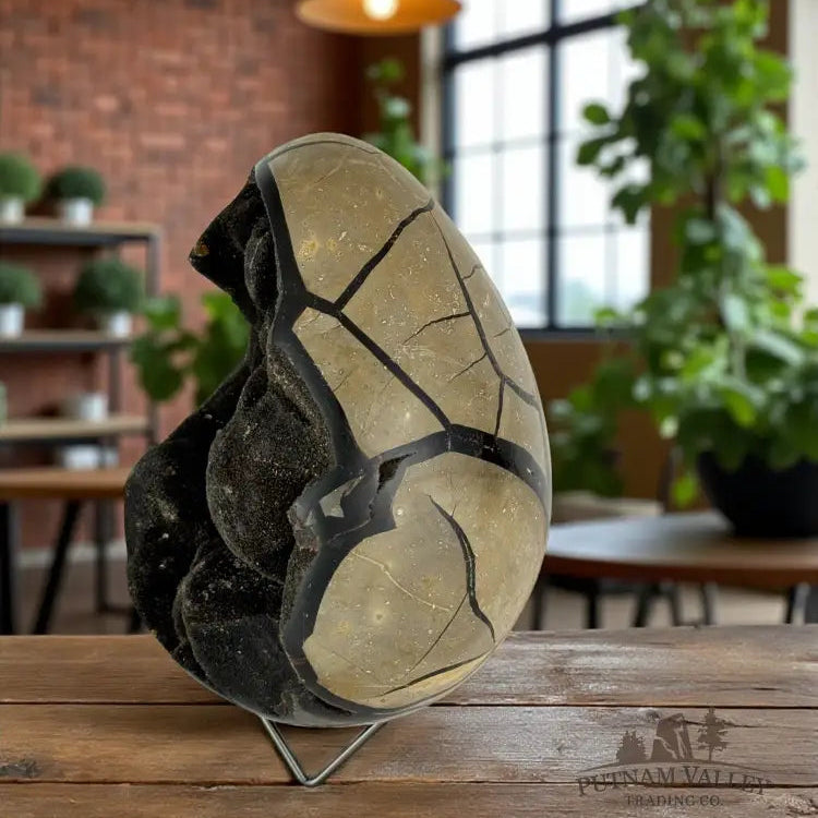 Septarian Egg Geode Egg