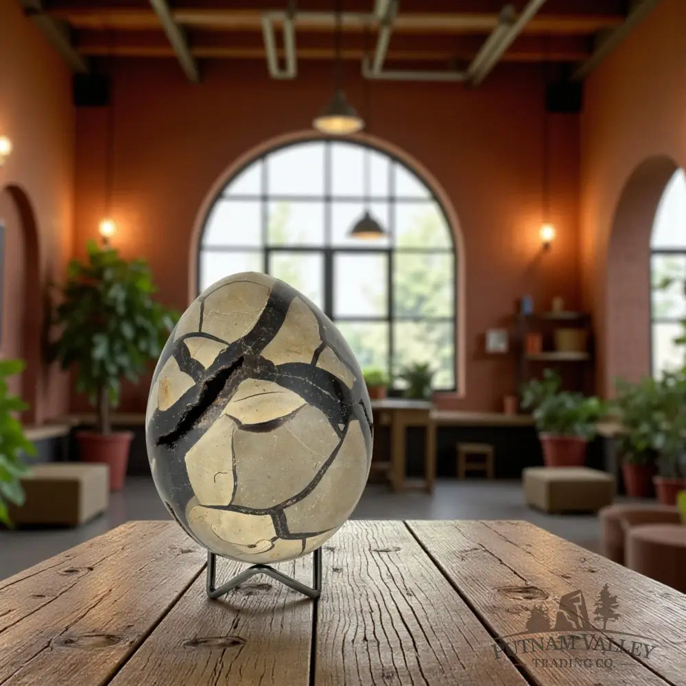 Septarian Egg Geode Egg