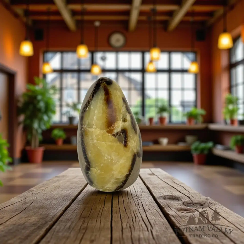 Septarian Table Accent Accent