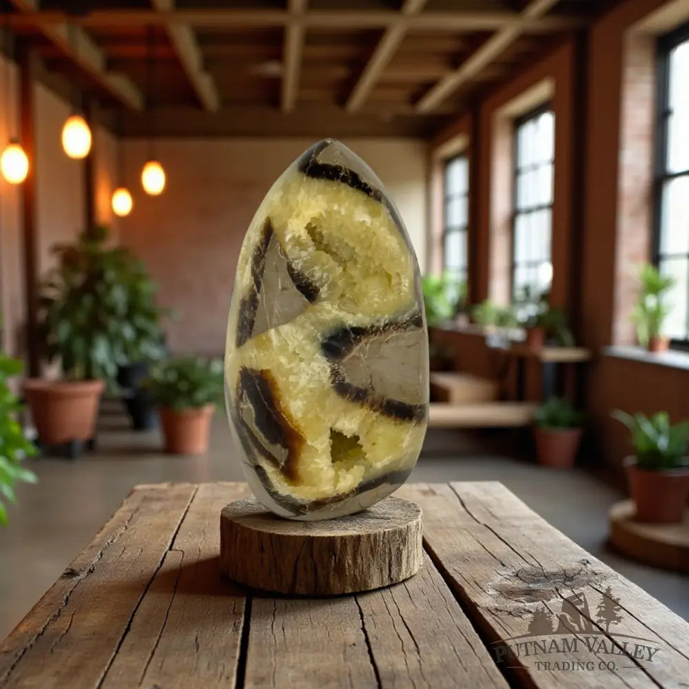 Septarian Table Accent Accent