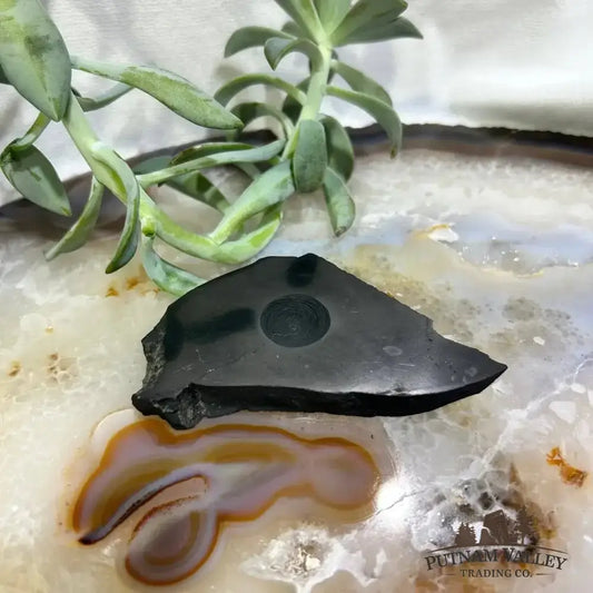 Shungite Sphere Stands - Putnam Valley Trading Co.