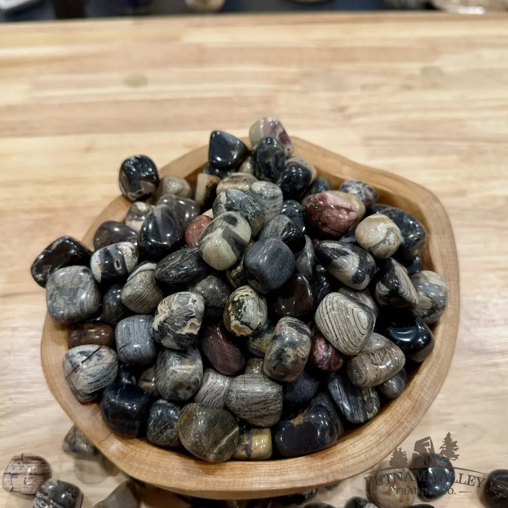 Silver Leaf Jasper Tumbles (½ lb) | South Africa - Tumbled Stone