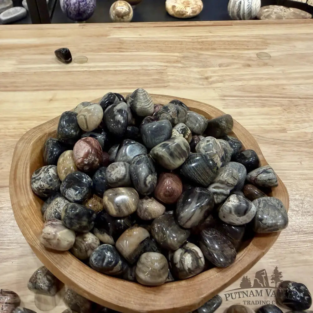Silver Leaf Jasper Tumbles (½ lb) | South Africa - Tumbled Stone