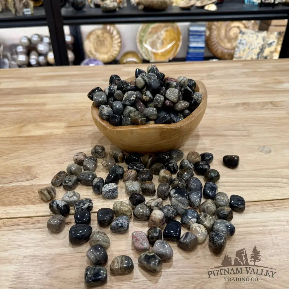 Silver Leaf Jasper Tumbles (½ lb) | South Africa - Tumbled Stone