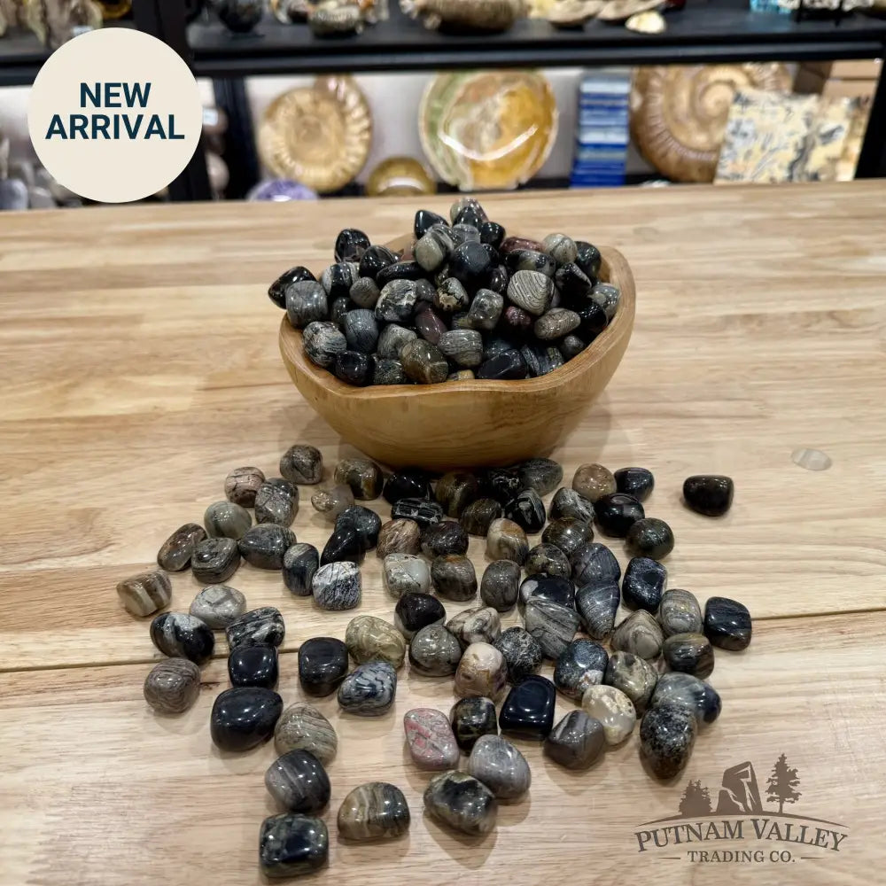 Silver Leaf Jasper Tumbles (½ lb) | South Africa - Tumbled Stone