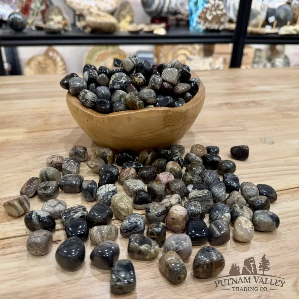 Silver Leaf Jasper Tumbles (½ lb) | South Africa - Tumbled Stone