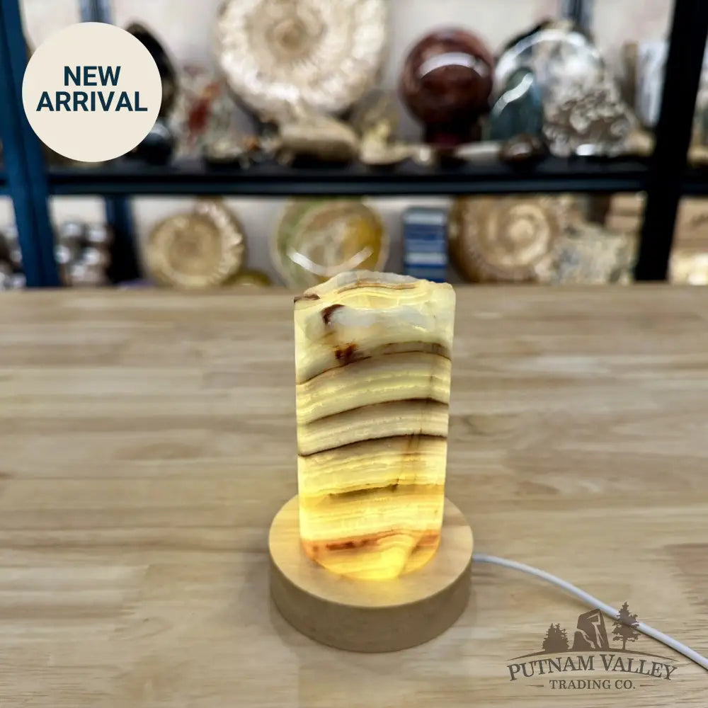 Slim Banded Calcite Rustic Lamp 4.75’’ 9 - Lamp