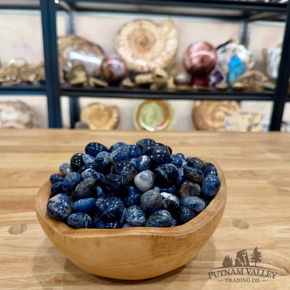 Tumbled Sodalite (½ lb) Tumbled Stone