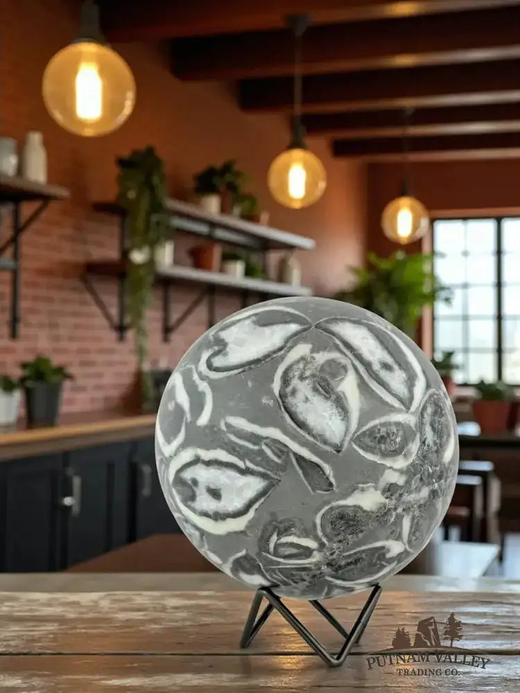 Thousand Eye Jasper Sphere 5.9" - Putnam Valley Trading Co.