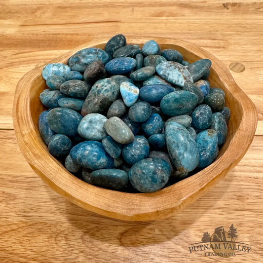 Tumbled Blue Apatite (½ lb) Tumbled Stone