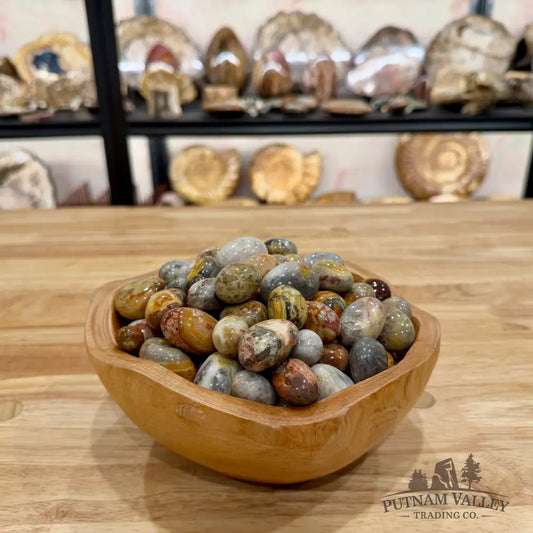 Tumbled Crazy Lace Agate (½ lb) Tumbled Stone