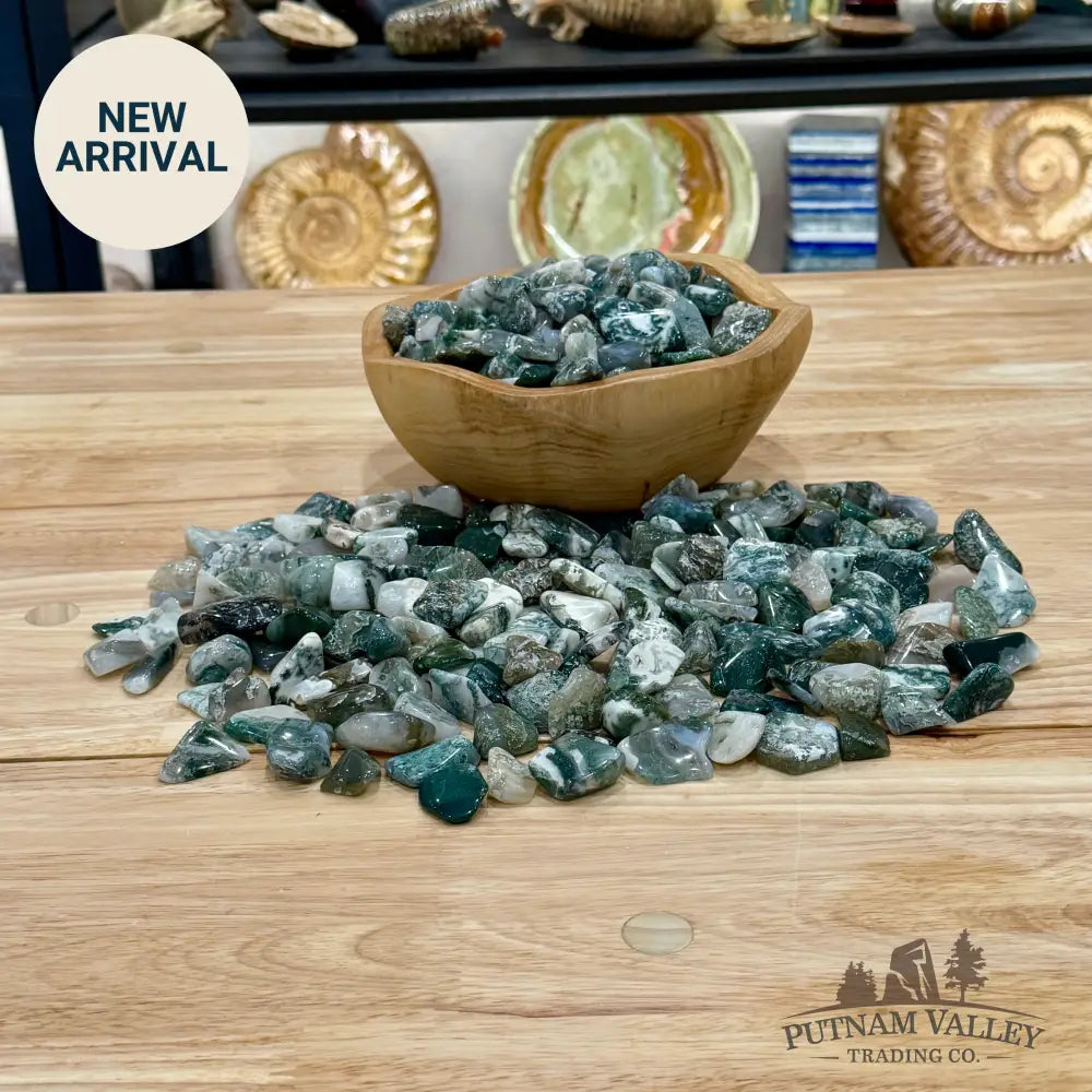 Tumbled Green Moss Agate (½ lb) | Freeform - Tumbled Stone