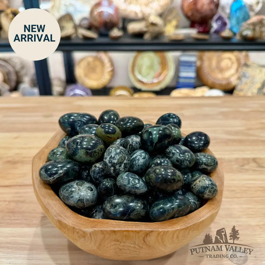 Tumbled Kambaba Jasper (½ lb) - Tumbled Stone